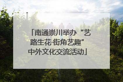 南通崇川举办“艺路生花·街角艺趣”中外文化交流活动