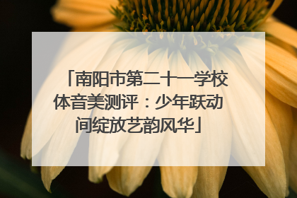 南阳市第二十一学校体音美测评：少年跃动间绽放艺韵风华
