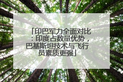 印巴军力全面对比：印度占数量优势，巴基斯坦技术与飞行员素质更强