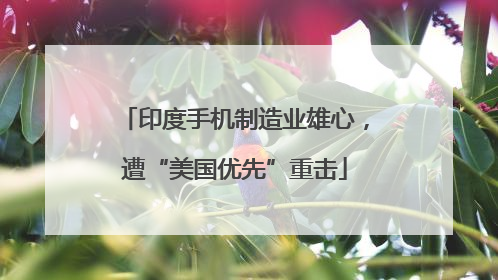 印度手机制造业雄心，遭“美国优先”重击