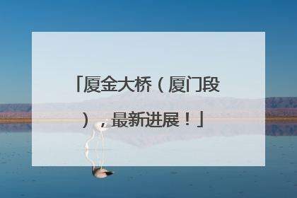 厦金大桥（厦门段），最新进展！