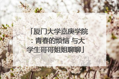 厦门大学嘉庚学院：青春的烦恼 与大学生哥哥姐姐聊聊