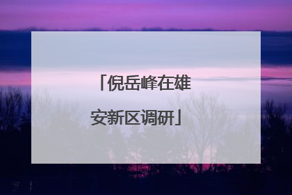 倪岳峰在雄安新区调研