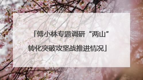 傅小林专题调研“两山”转化突破攻坚战推进情况