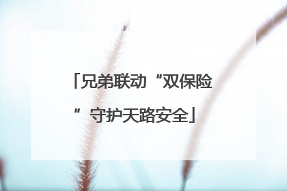 兄弟联动“双保险”守护天路安全