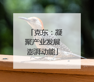 克东：凝聚产业发展澎湃动能