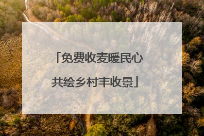免费收麦暖民心 共绘乡村丰收景