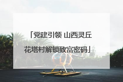 党建引领 山西灵丘花塔村解锁致富密码