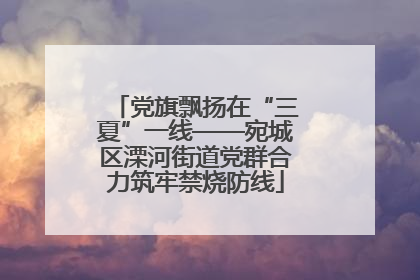 党旗飘扬在“三夏”一线——宛城区溧河街道党群合力筑牢禁烧防线
