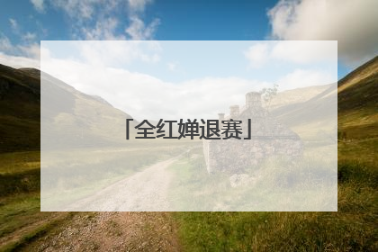 全红婵退赛