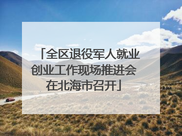全区退役军人就业创业工作现场推进会在北海市召开
