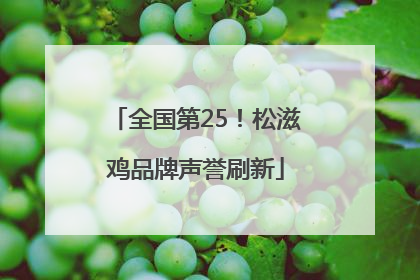 全国第25！松滋鸡品牌声誉刷新