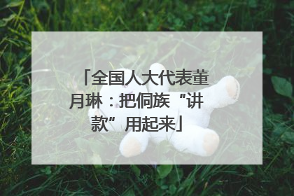 全国人大代表董月琳：把侗族“讲款”用起来