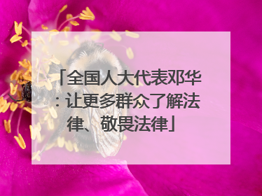 全国人大代表邓华：让更多群众了解法律、敬畏法律