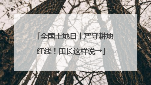 全国土地日丨严守耕地红线！田长这样说→