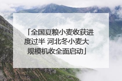 全国夏粮小麦收获进度过半 河北冬小麦大规模机收全面启动