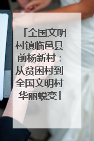 全国文明村镇临邑县前杨新村：从贫困村到全国文明村华丽蜕变