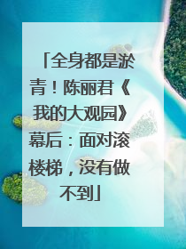 全身都是淤青！陈丽君《我的大观园》幕后：面对滚楼梯，没有做不到