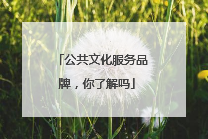 公共文化服务品牌，你了解吗
