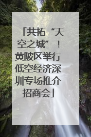 共拓“天空之城”！黄陂区举行低空经济深圳专场推介招商会