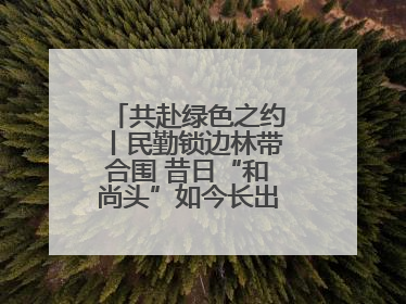 共赴绿色之约丨民勤锁边林带合围 昔日“和尚头”如今长出了“披肩发”
