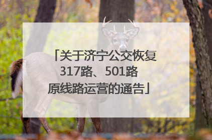 关于济宁公交恢复317路、501路原线路运营的通告