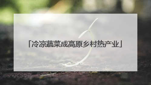 冷凉蔬菜成高原乡村热产业