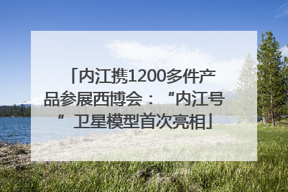 内江携1200多件产品参展西博会：“内江号”卫星模型首次亮相