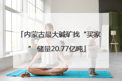 内蒙古最大碱矿找“买家” 储量20.77亿吨