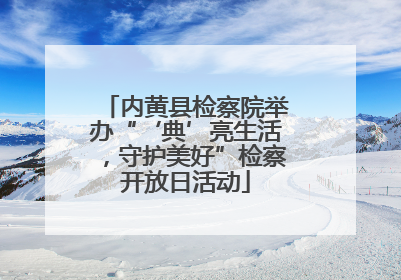 内黄县检察院举办“‘典’亮生活，守护美好”检察开放日活动