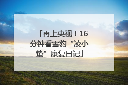 再上央视！16分钟看雪豹“凌小蛰”康复日记