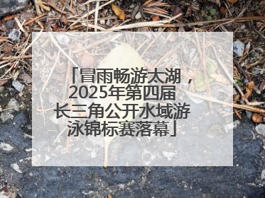 冒雨畅游太湖，2025年第四届长三角公开水域游泳锦标赛落幕