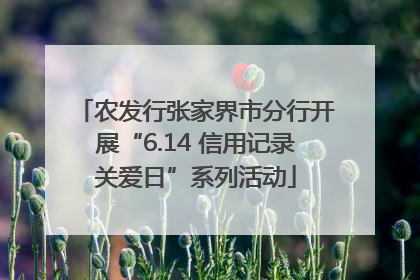 农发行张家界市分行开展“6.14 信用记录关爱日”系列活动