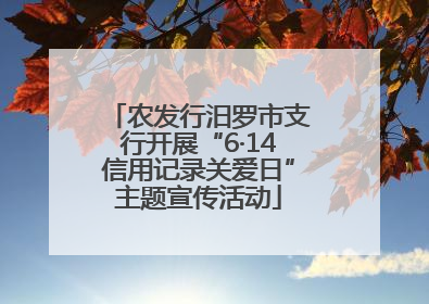 农发行汨罗市支行开展“6·14信用记录关爱日”主题宣传活动