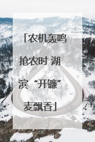 农机轰鸣抢农时 湖滨“开镰”麦飘香