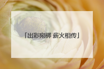 出彩宛梆 薪火相传