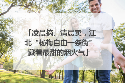 凌晨摘、清晨卖，江北“杨梅自由一条街”藏着最甜的烟火气