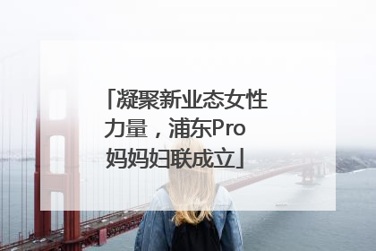 凝聚新业态女性力量，浦东Pro妈妈妇联成立