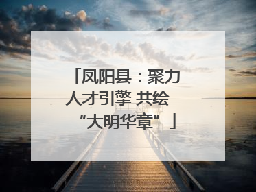 凤阳县：聚力人才引擎 共绘“大明华章”