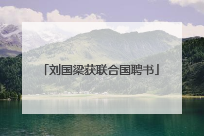 刘国梁获联合国聘书