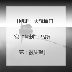 刚走一天就遭白宫“背刺” 马斯克：很失望