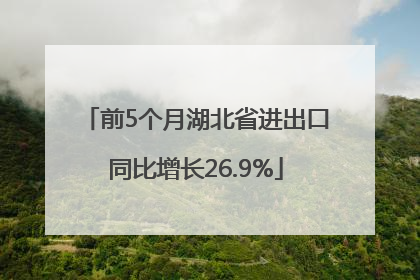 前5个月湖北省进出口同比增长26.9%