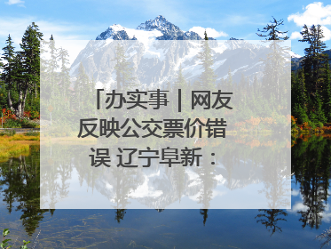 办实事｜网友反映公交票价错误 辽宁阜新：及时核查更正 加强实时巡检