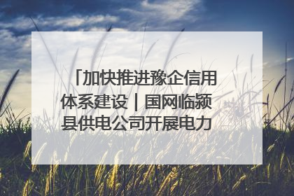 加快推进豫企信用体系建设｜国网临颍县供电公司开展电力行业信用企业现场咨询访谈工作