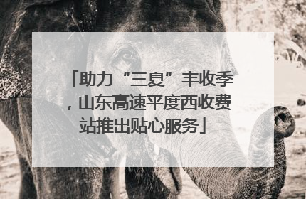 助力“三夏”丰收季，山东高速平度西收费站推出贴心服务