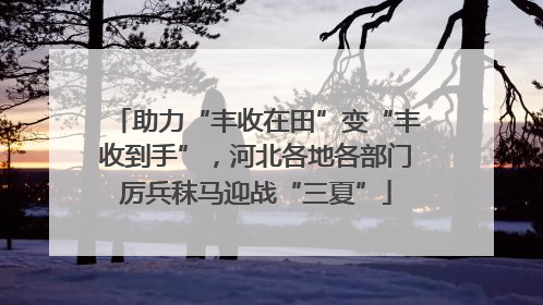 助力“丰收在田”变“丰收到手”，河北各地各部门厉兵秣马迎战“三夏”