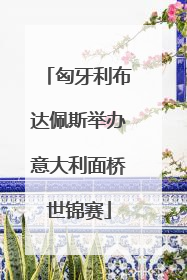 匈牙利布达佩斯举办意大利面桥世锦赛