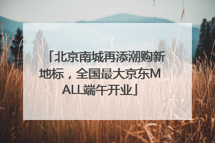北京南城再添潮购新地标，全国最大京东MALL端午开业