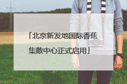 北京新发地国际香蕉集散中心正式启用