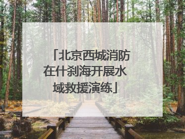 北京西城消防在什刹海开展水域救援演练